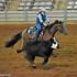 TNSHA Region II Championship Clinic and Show and Candy Corn Classic